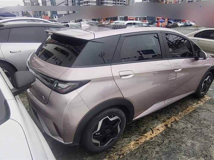 Фото 3 - BYD Dolphin