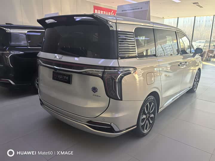 Фото 4 - Hongqi HQ9