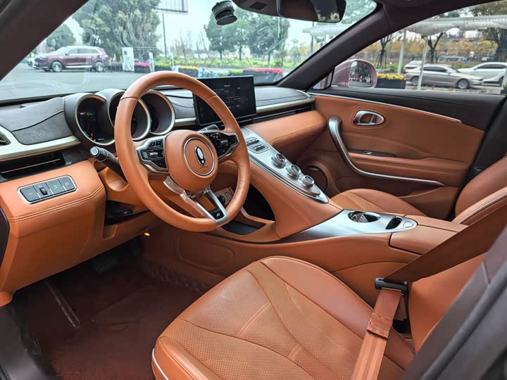 Фото 4 - Ora Lightning Cat (07)