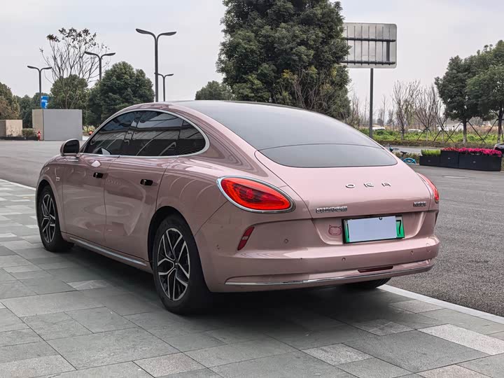 Фото 7 - Ora Lightning Cat (07)