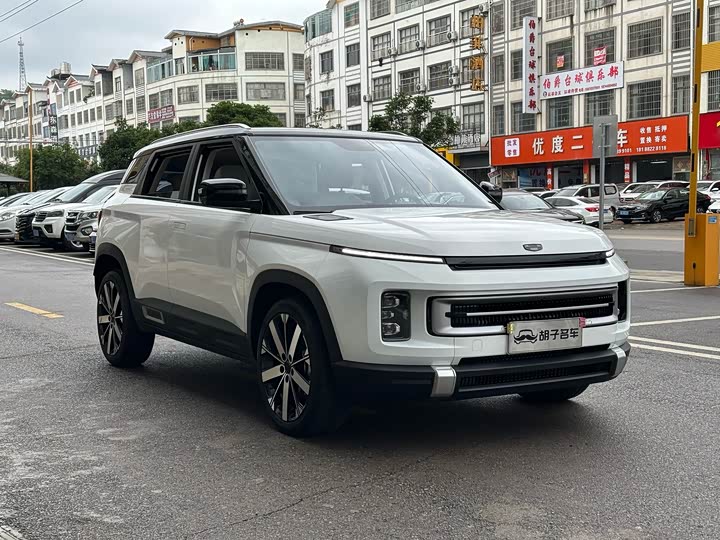 Фото 3 - Geely Icon