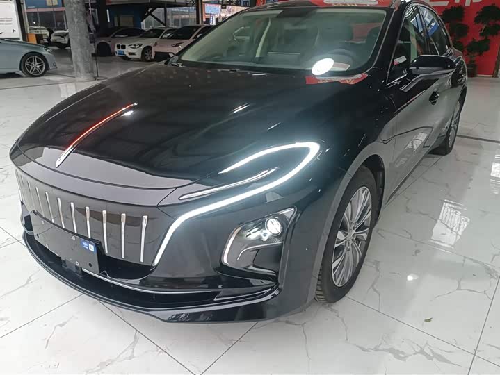 Фото 1 - Hongqi E-QM5