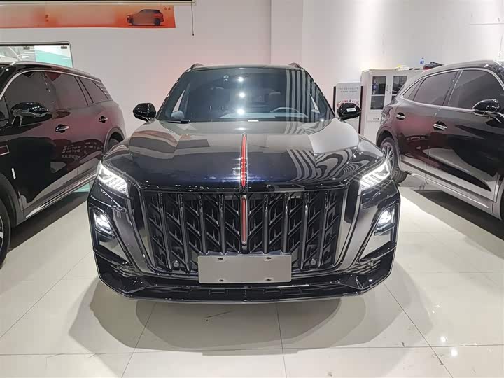 Фото 3 - Hongqi HS5