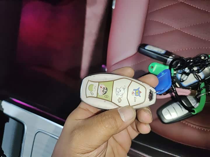 Фото 9 - Hongqi HS5