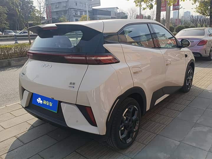 Фото 3 - BYD Seagull