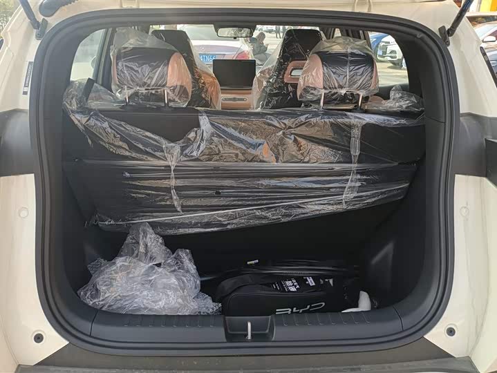 Фото 4 - BYD Seagull