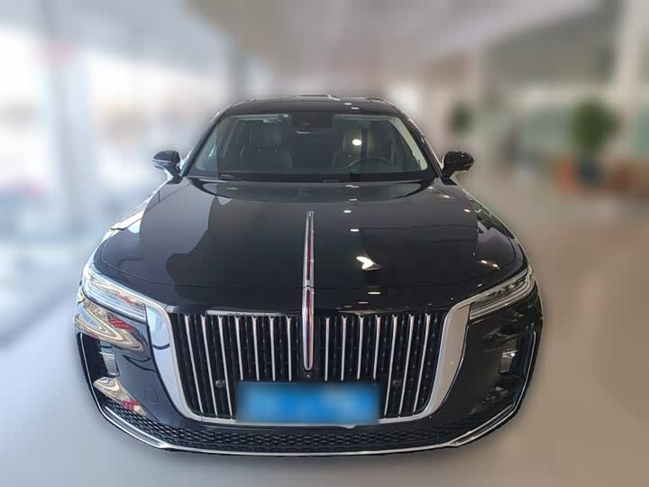 Фото 5 - Hongqi H9
