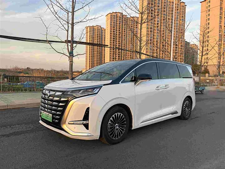 Фото 1 - Denza D9