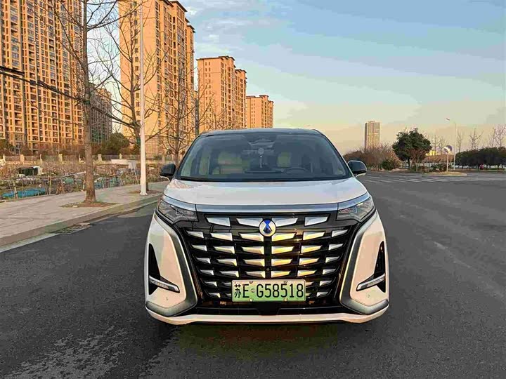 Фото 2 - Denza D9