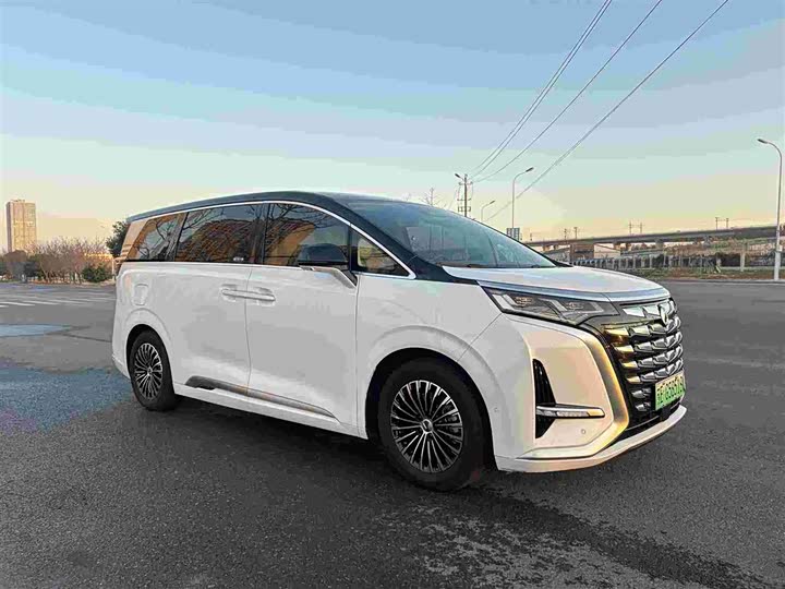 Фото 3 - Denza D9