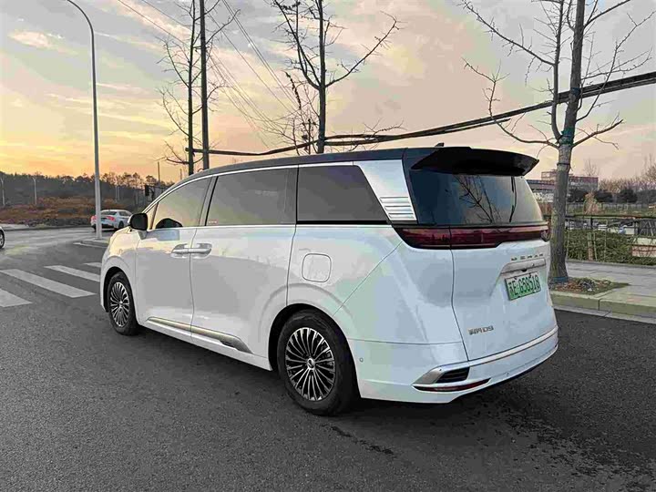 Фото 4 - Denza D9