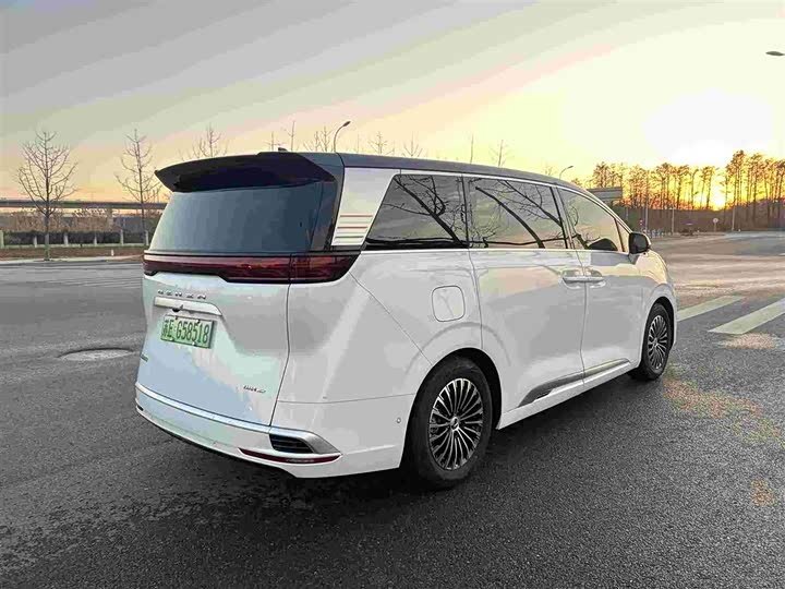 Фото 5 - Denza D9