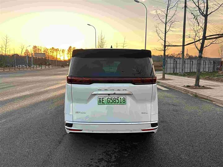 Фото 6 - Denza D9