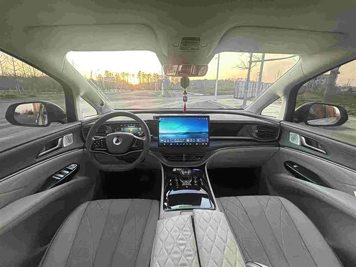 Фото 9 - Denza D9