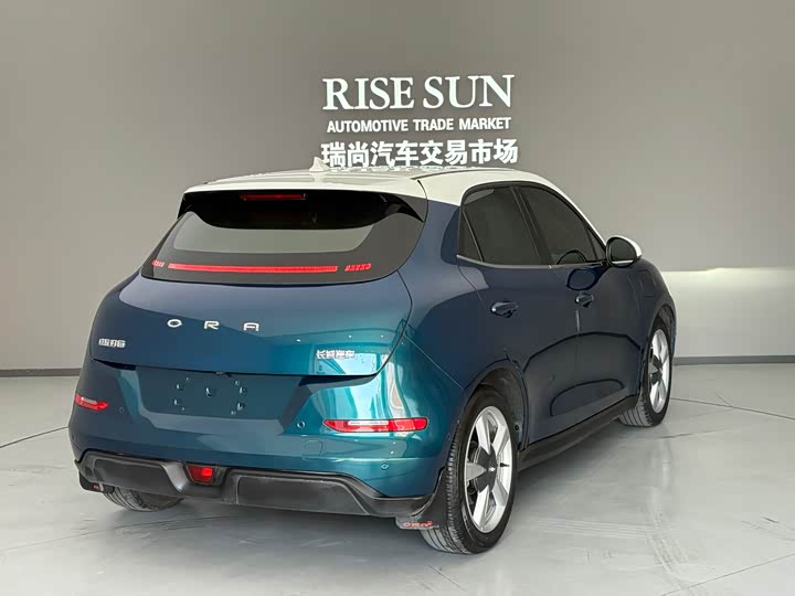 Фото 6 - Ora Good Cat (03)