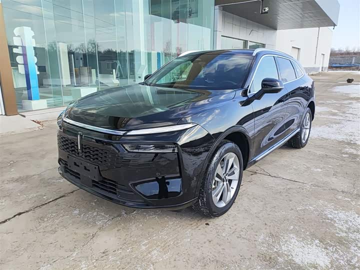 Фото 2 - Wey Mocca Hybrid