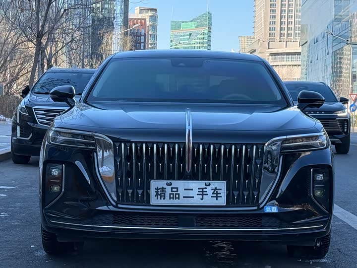Фото 2 - Hongqi H9