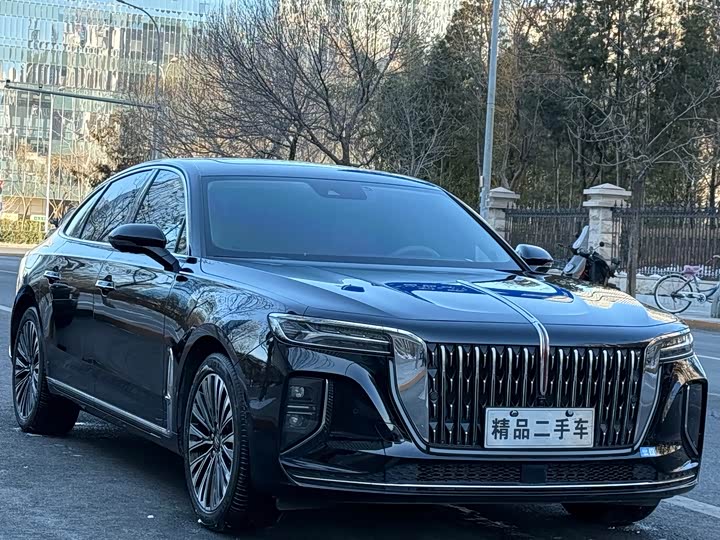 Фото 3 - Hongqi H9
