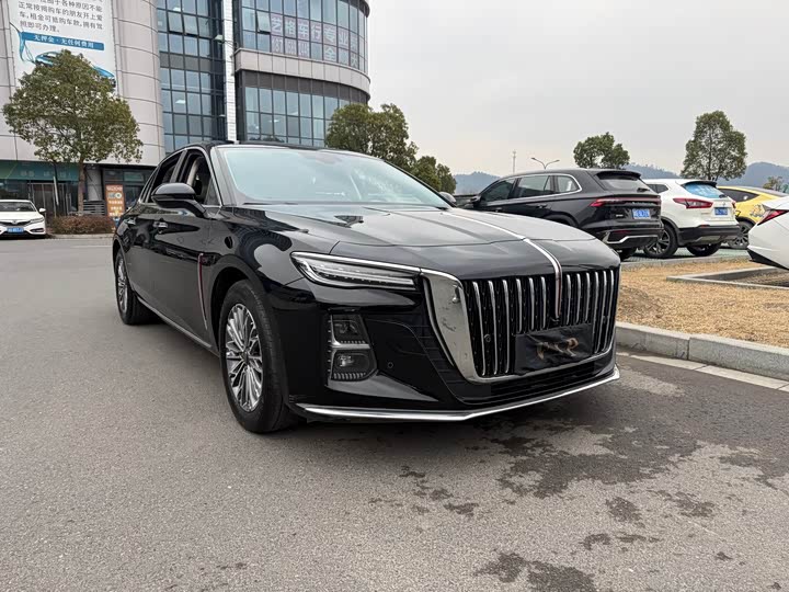 Фото 1 - Hongqi H5