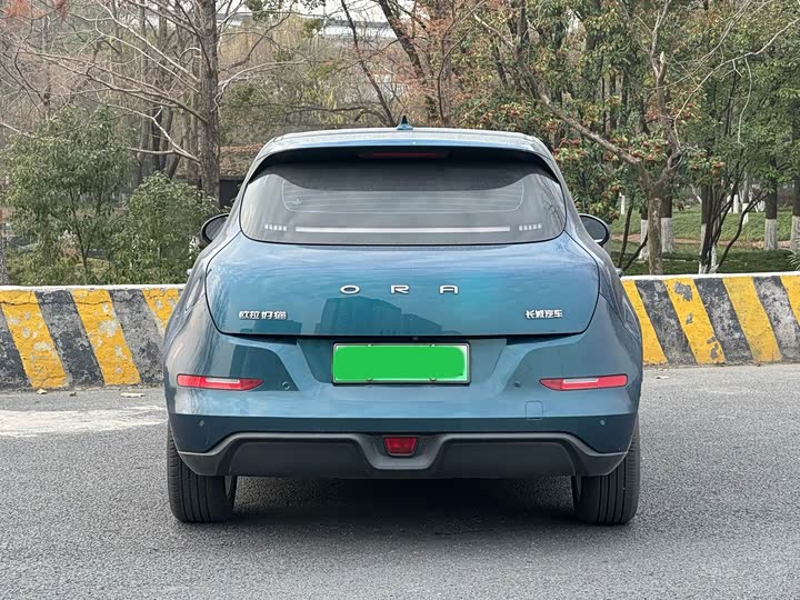 Фото 6 - Ora Good Cat (03)