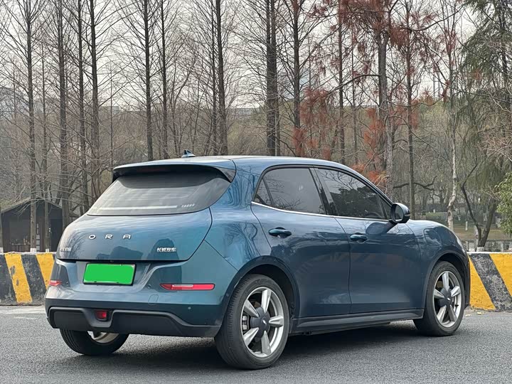 Фото 7 - Ora Good Cat (03)