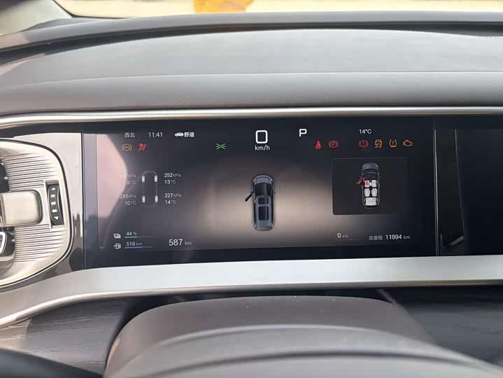 Фото 4 - Denza D9