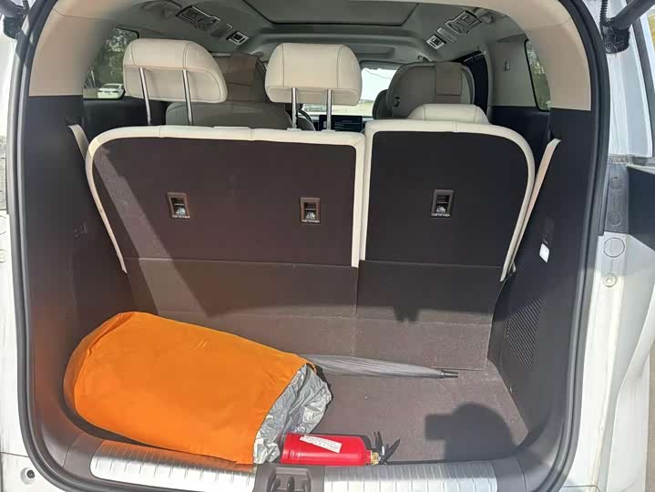 Фото 7 - Denza D9