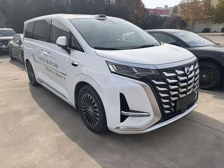 Фото 9 - Denza D9