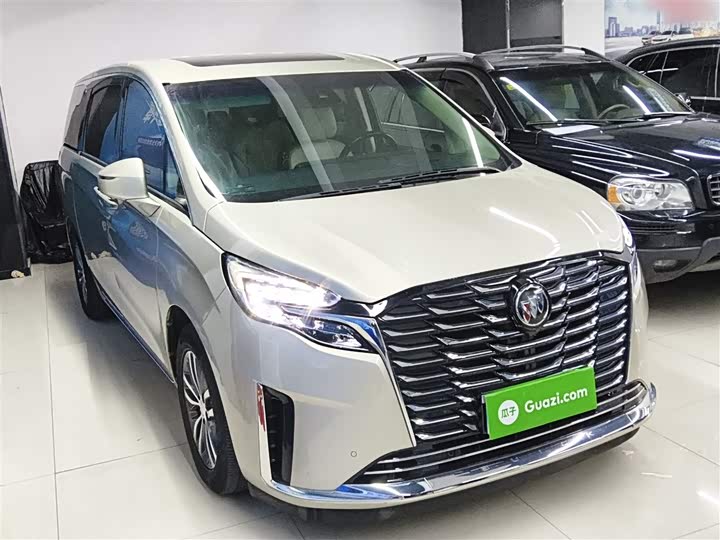 Фото 4 - Buick GL8 ES