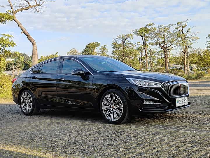 Фото 3 - Hongqi H5