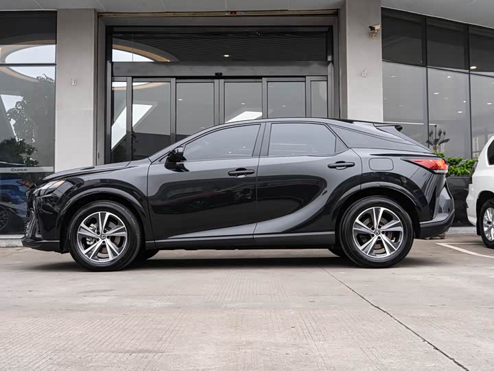 Фото 4 - Lexus RX