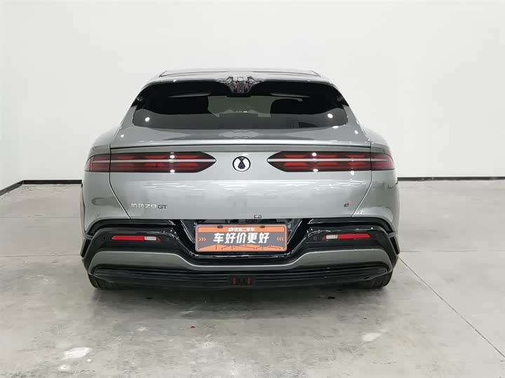 Фото 4 - Denza Z9GT