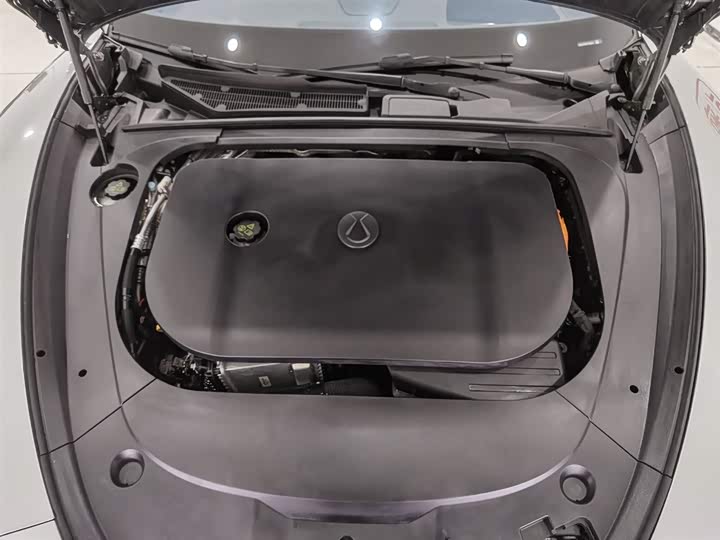 Фото 6 - Denza Z9GT