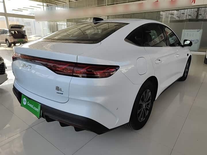 Фото 7 - BYD Qin L