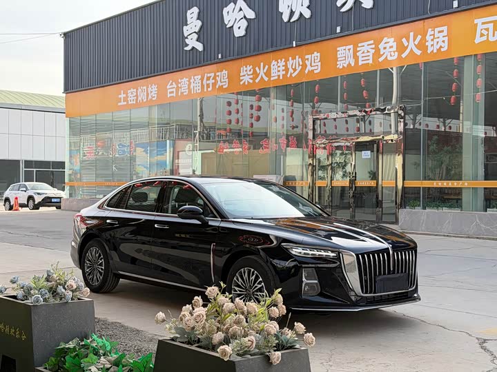 Фото 3 - Hongqi H5