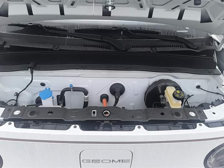 Фото 7 - Geely Galaxy Panda Mini