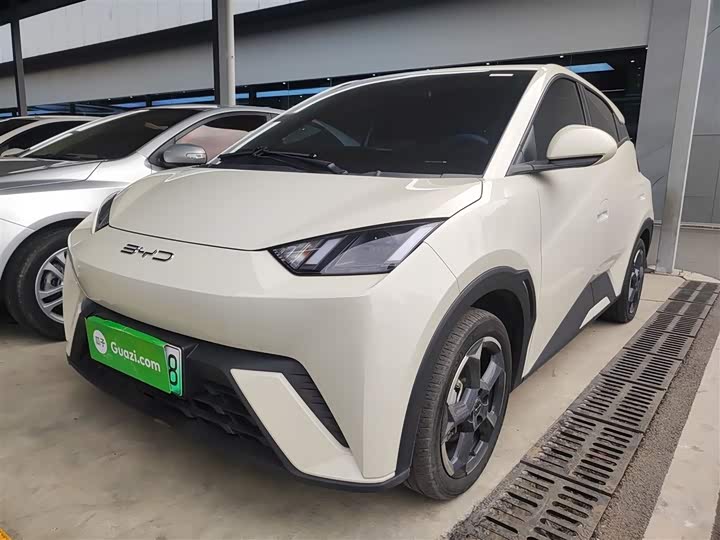 Фото 2 - BYD Seagull