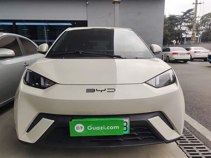 Фото 3 - BYD Seagull