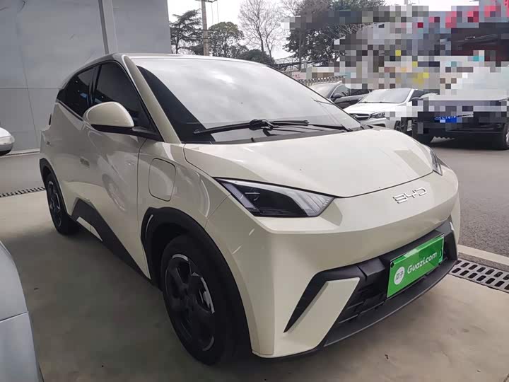 Фото 4 - BYD Seagull