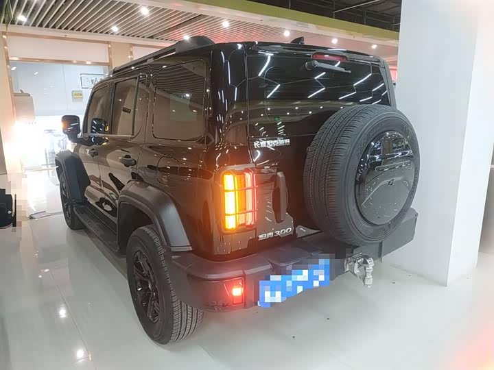 Фото 5 - Tank 300