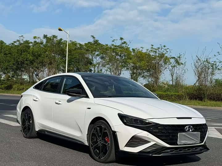 Фото 2 - Hyundai Lafesta