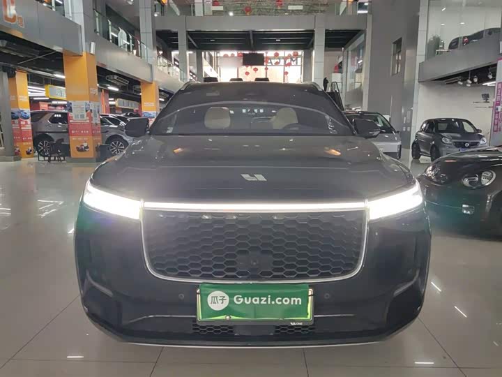 Фото 3 - LiXiang One