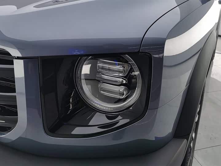 Фото 5 - Haval Dargo