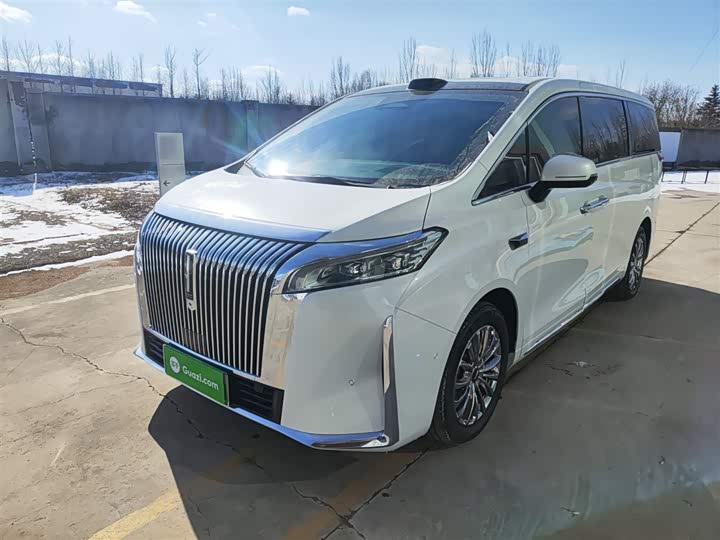 Фото 1 - Wey Gaoshan