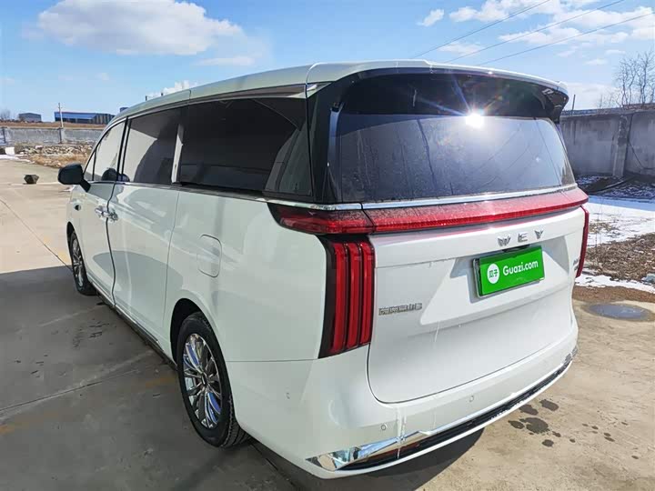 Фото 5 - Wey Gaoshan