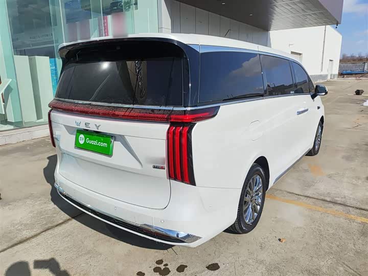 Фото 7 - Wey Gaoshan