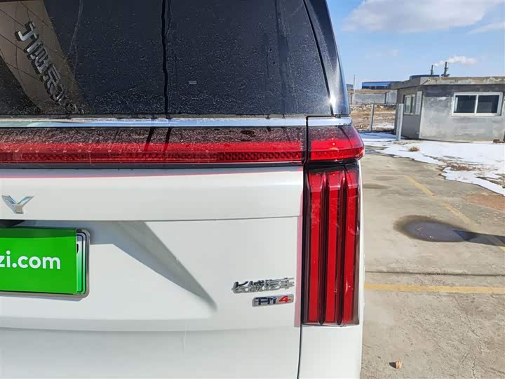 Фото 8 - Wey Gaoshan