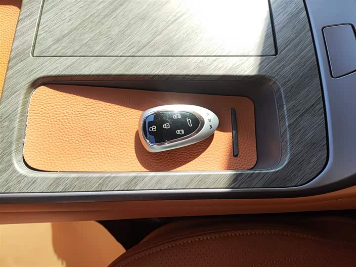 Фото 9 - Wey Gaoshan