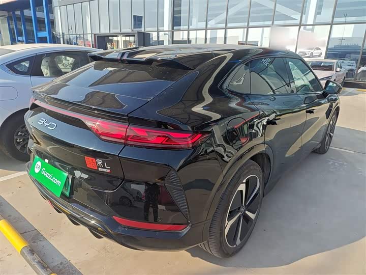 Фото 7 - BYD Song L