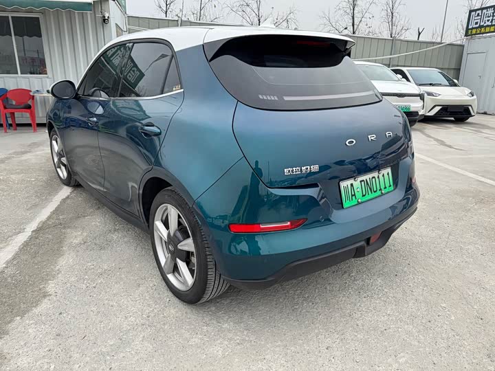 Фото 6 - Ora Good Cat (03)